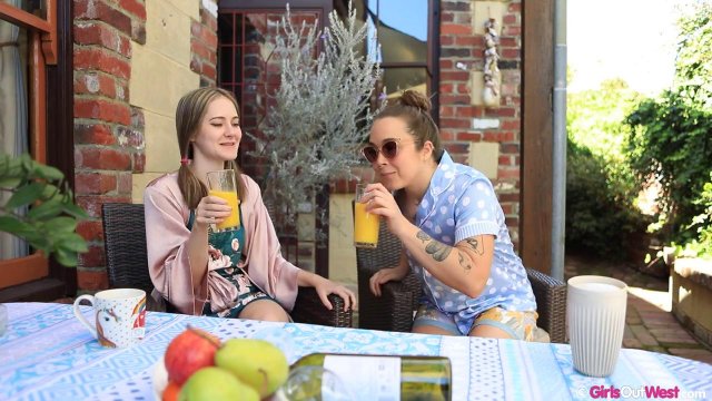 Превью Девушки полизали друг у друга волосатые киски № 36424