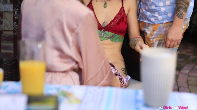 Превью Девушки полизали друг у друга волосатые киски № 36424