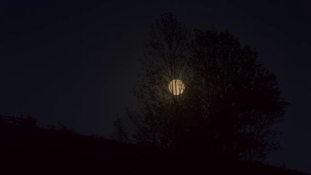 Эффектная бестия трахается с негром в киску после первого свидания