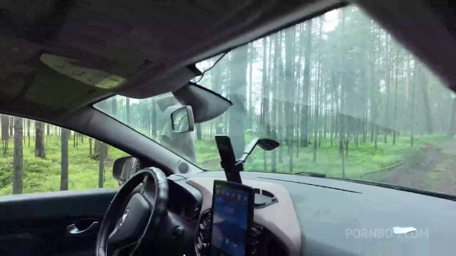 Превью Максимально жёсткое совокупление в жопу в лесу № 46840