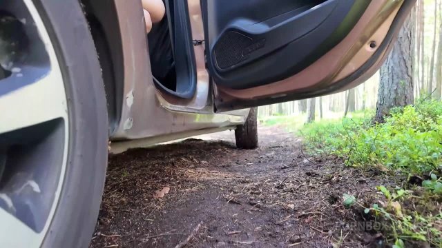 Превью Максимально жёсткое совокупление в жопу в лесу № 46840