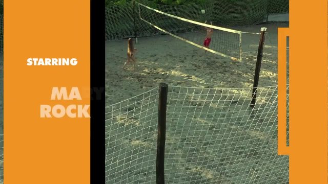 Превью Эта волейболистка невероятно хороша в постели № 46844