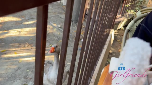 Превью Самые крутые минетные данные № 46911